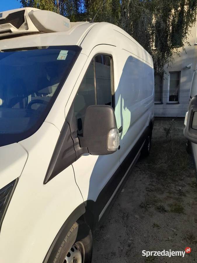 Ford Transit Chłodnia w leasingu Zgierz