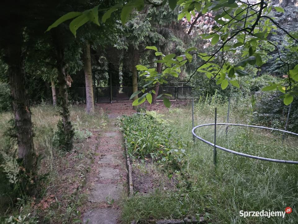 Działka Rod Ostra Górka Sosnowiec Sprzedaż