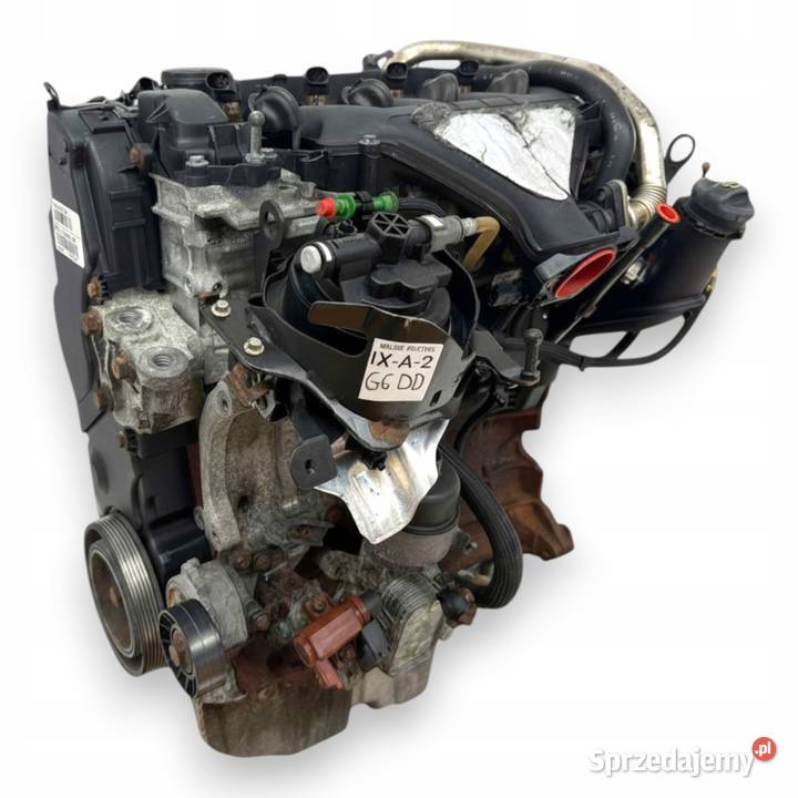 SILNIK G6DD Ford C C Focus MK2 20 TDCI 136 lubelskie Chełm sprzedam