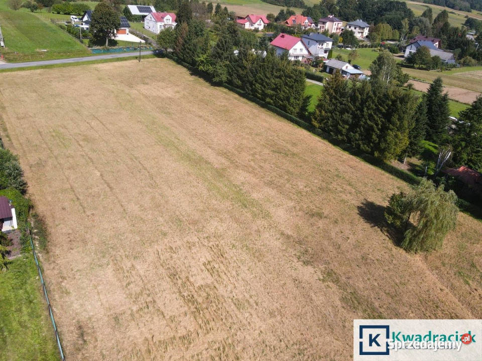 Grunt 39m2 Strachocina Nieruchomości