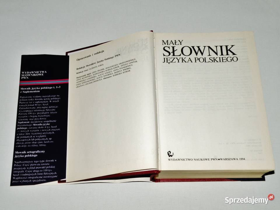 Mały słownik języka polskiego PWN 1994 Rok wydania 1994