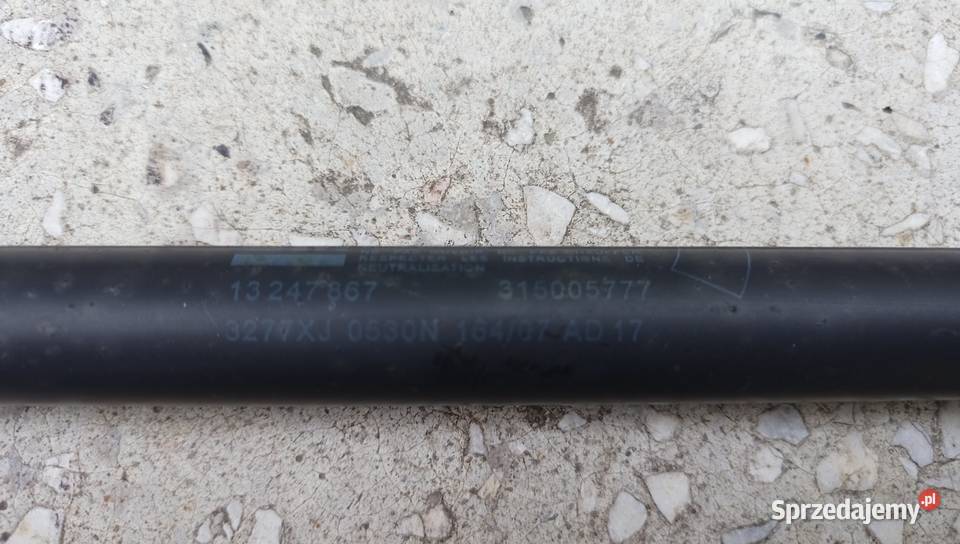 Oryginalny GM SiłownikTeleskop Tylnej Klapy do Klapy bagażnika Katowice