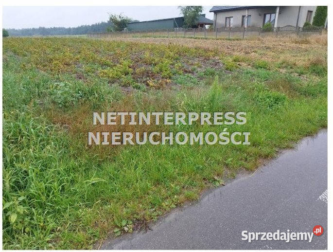Ogłoszenie grunt Tarłów 900m2 900m2
