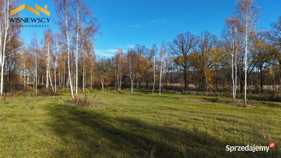 Dawidy duża działka 05306 ha WZ