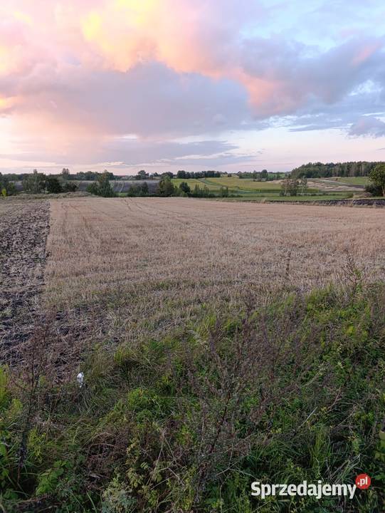 Działka Lesie 7 Uzdrowiska BuskoZdrój 30ar 60ar Kobylniki