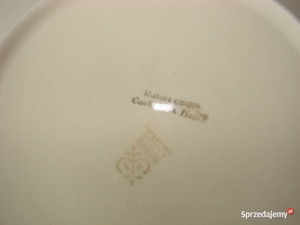 Włocławek fajansowy talerz Pozostałe Pruszcz Gdański