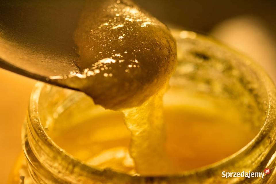 NATURALNE POLSKIE MIODY z Tradycyjnej Pasieki małopolskie Andrychów