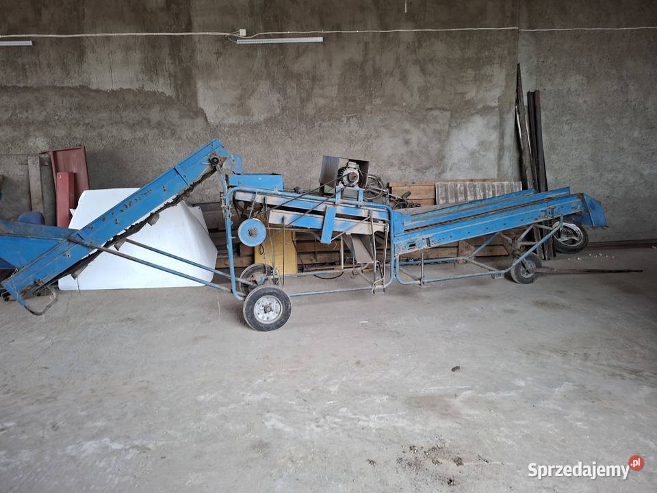 Sortownik do ziemniaków puck lubelskie Radzyń Podlaski