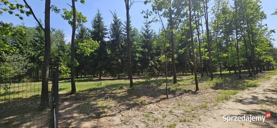 Działka bud 1202M2 WZ STUDNIE