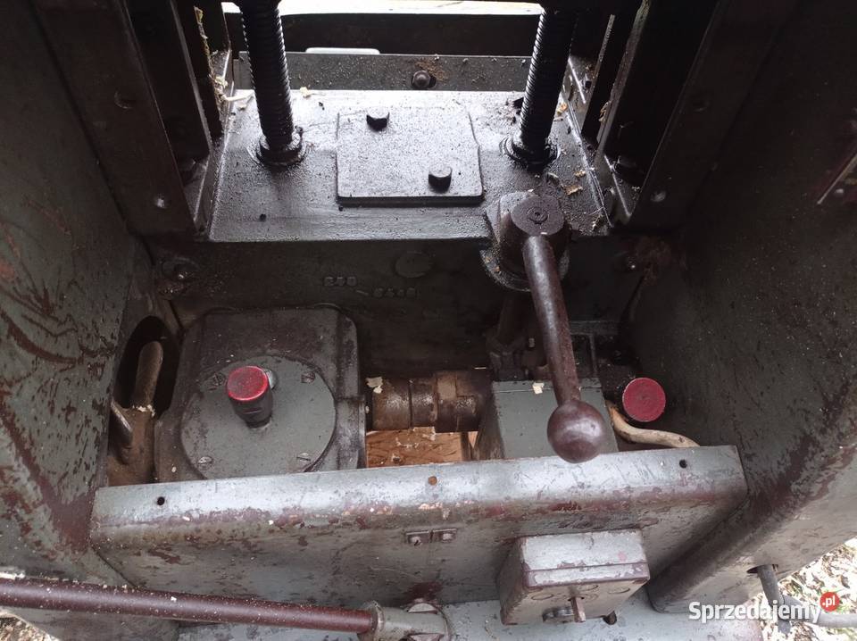 Grubościówka niemiecka Frommia 30 lubelskie Hrebenne