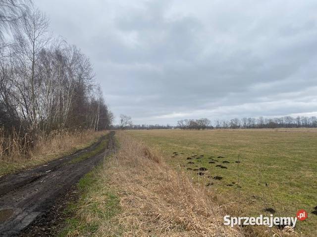 Syndyk Sprzeda Nieruchomość W Lędowie Lędowo - Sprzedajemy.pl