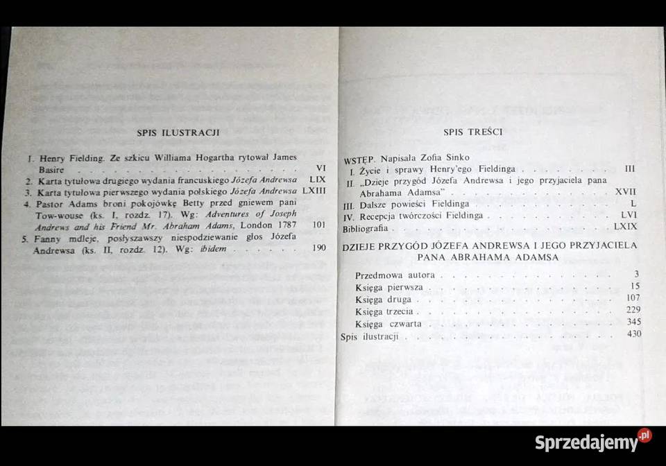 Dzieje przygód Józefa Andrewsa i jego miękka lubelskie Chełm