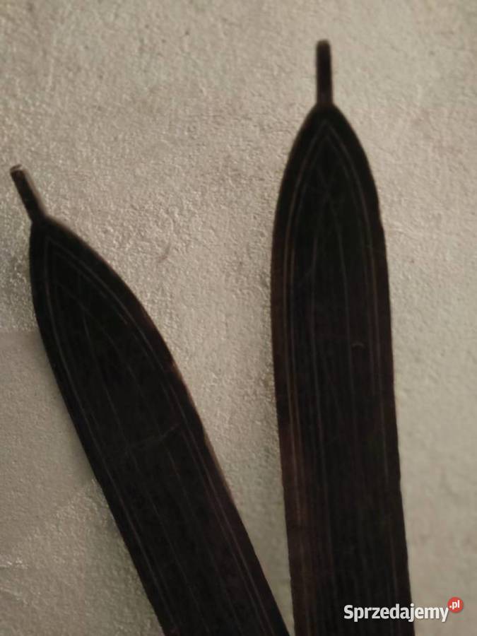 Zabytkowe narty