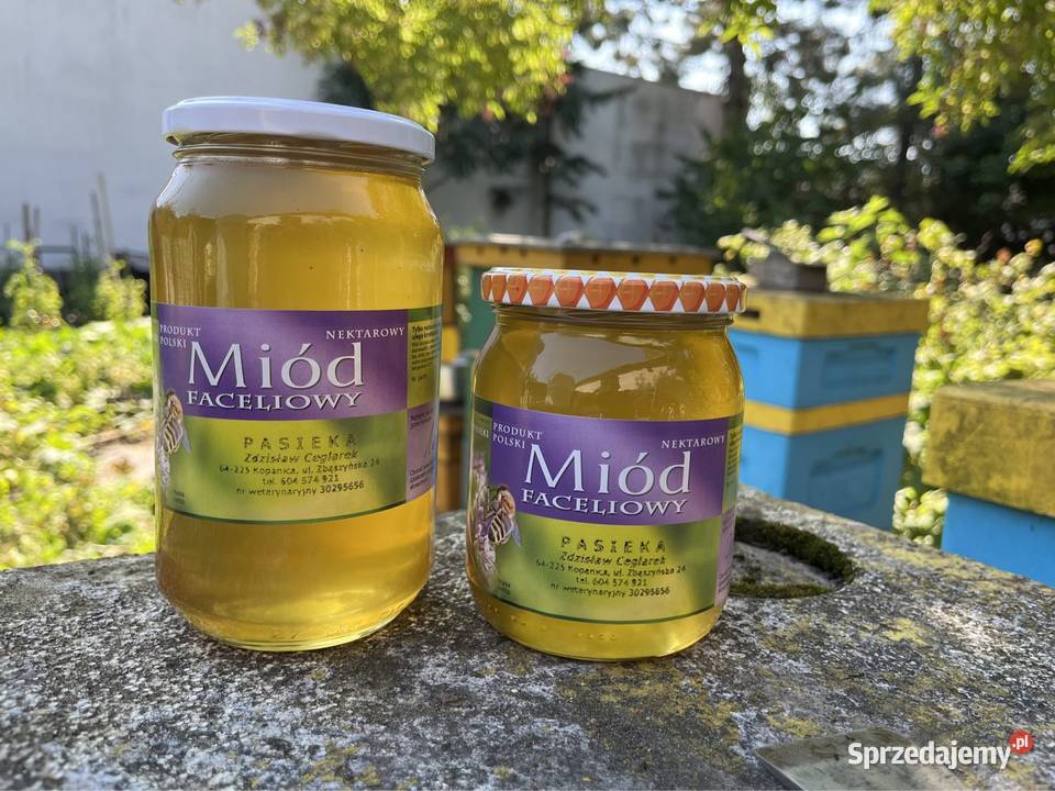 Miód faceliowy z pasieki dziadka Siekierki Wielkie