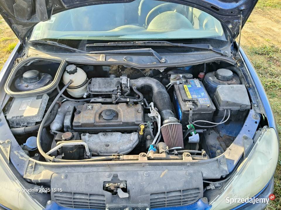 Peugeot 206 11 benzyna 206 Kłobuck