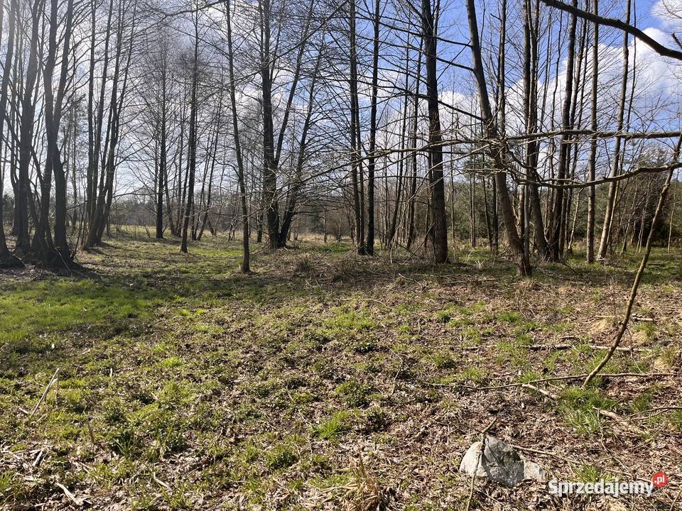 Działka rolnobudowlana utwardzona kujawsko-pomorskie Bydgoszcz