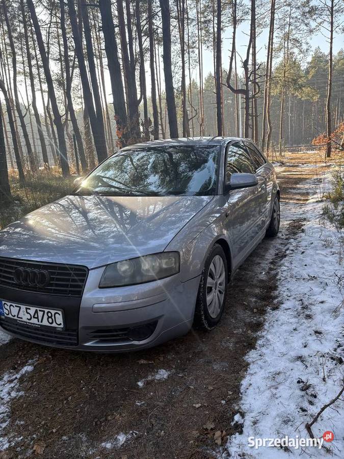 Audi a3 8p 2004 240455nm diesel A3 Myszków