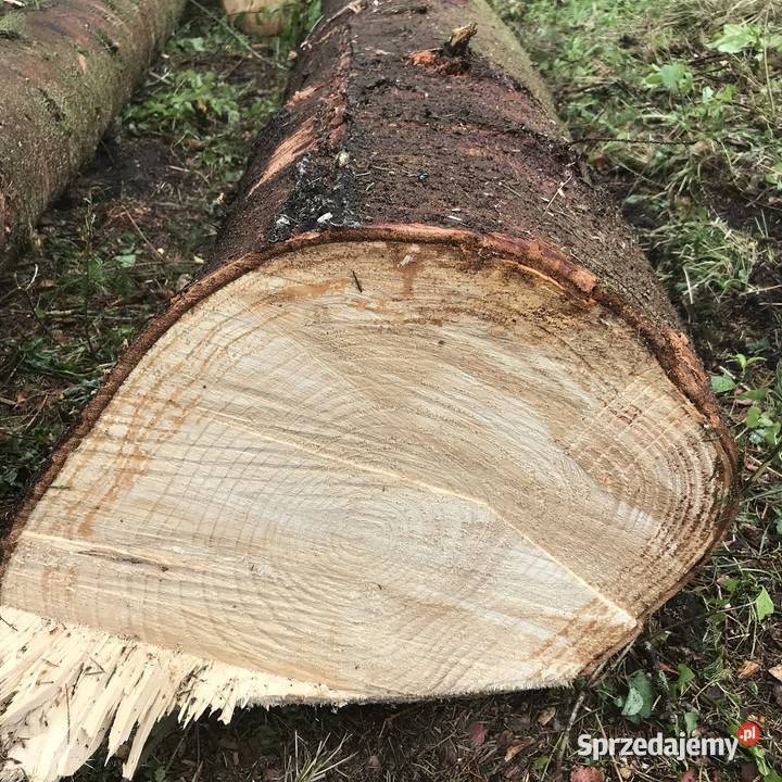 Drewno kominkowe opałowe budulec dł Jesion Dąb Opał podlaskie sprzedam