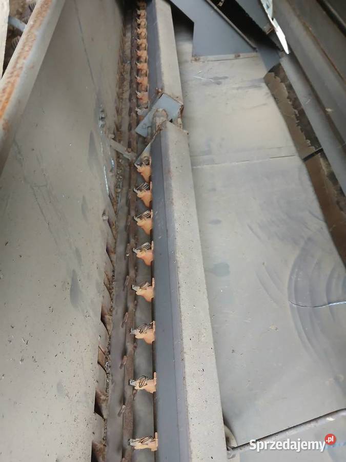 Sprzedam siewnik Mazur nieuszkodzony Łukowa