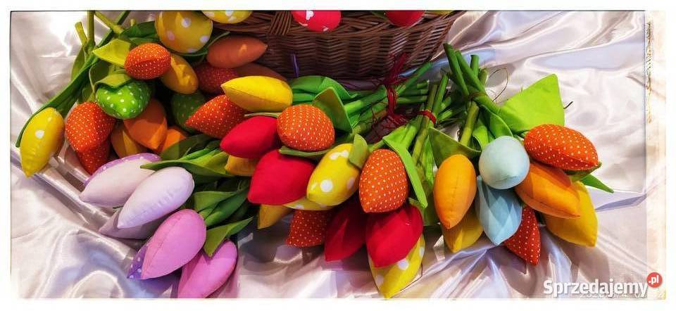 Tulipany podkarpackie Sędziszów Małopolski sprzedam