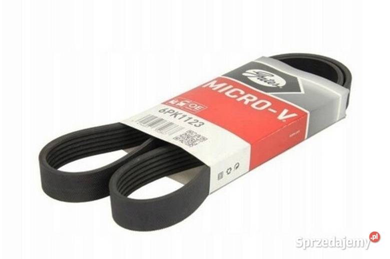NOWY Pasek Klinowy Wielorowkowy Gates 6PK1123 Sosnowiec