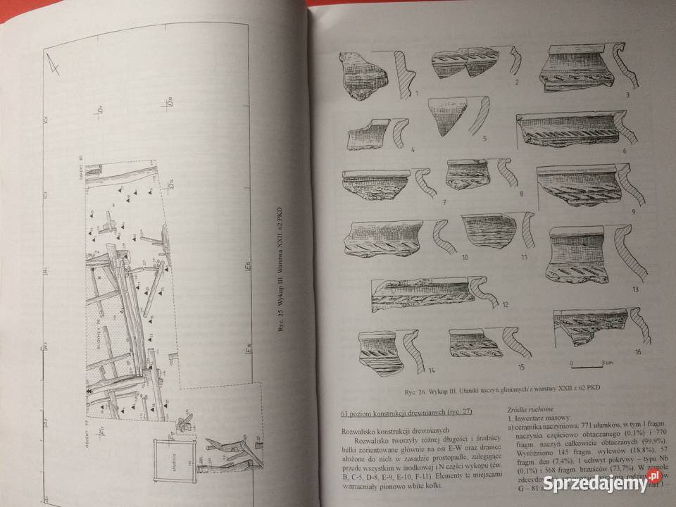 3260 Szczecin We Wczesnym Średniowieczu Część zachodniopomorskie