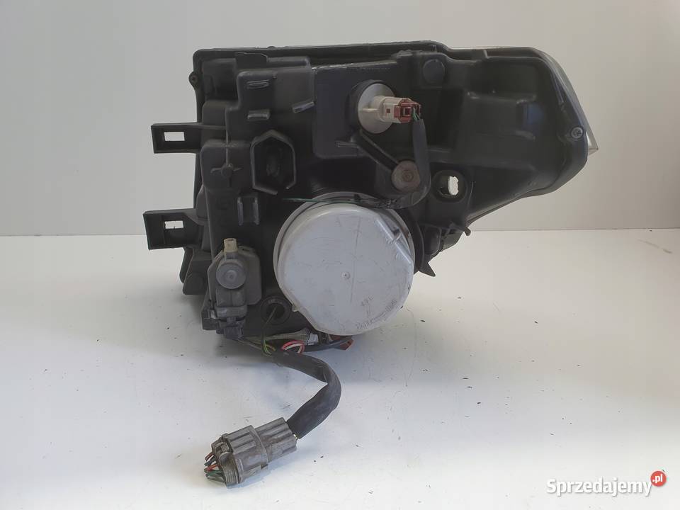 LAMPA PRAWA Nissan Pathfinder R51 Navara D40 III osobowe Lampy przednie Chełm sprzedam