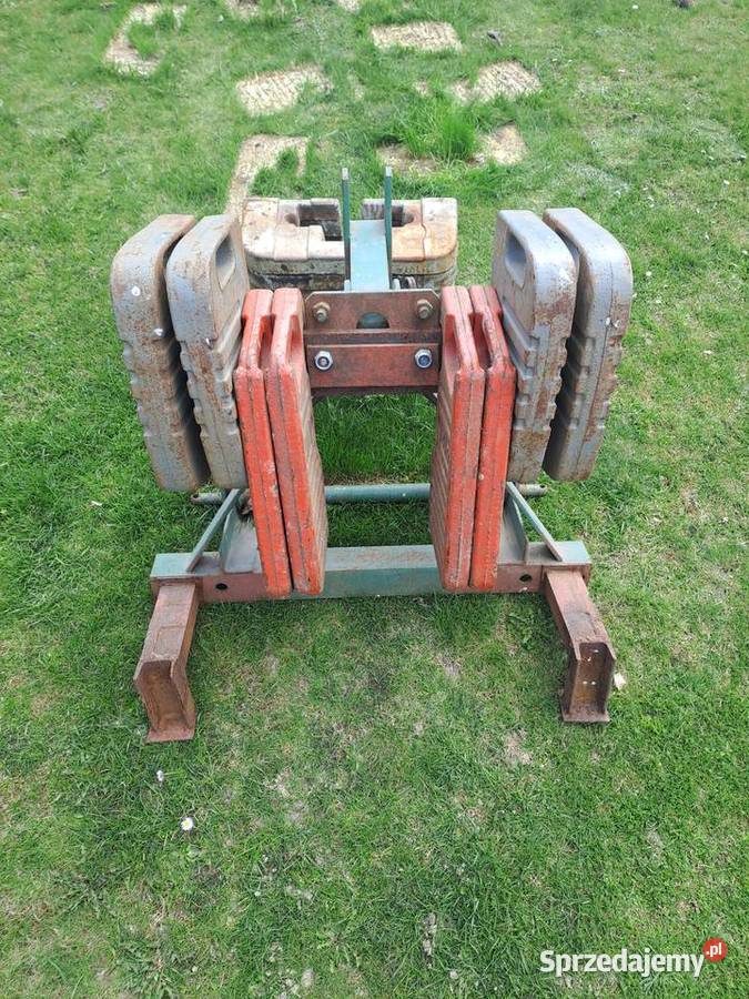 Obciąrzniki dolnośląskie Dzierżoniów