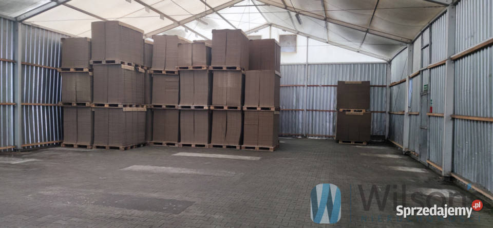 Lokal 2624m2 Tarczyn 2624m2 sprzedam