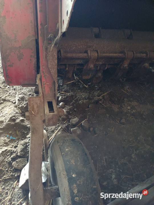 Leciniarka160 wielkopolskie Tomaszew