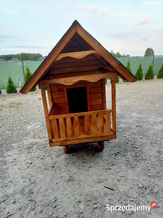 Duża buda psa Jagiełła