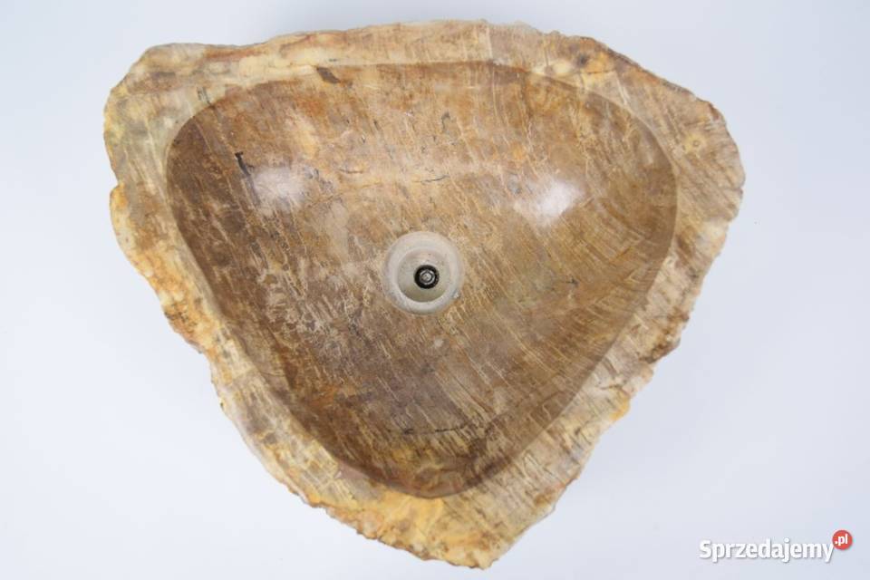 Fossil Wood SMALL SALAWATI SW31 kamienna Gdynia