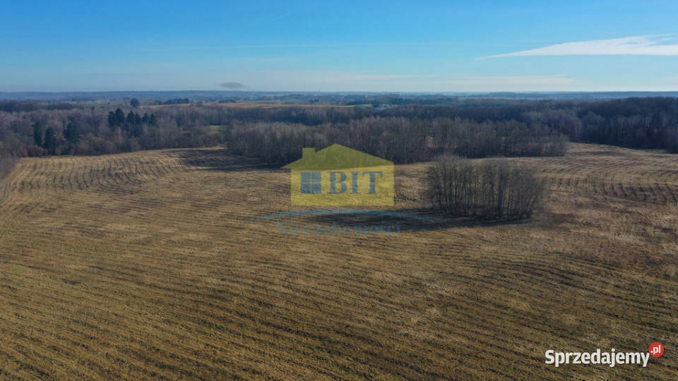 Działka 20ha z dostępem do Jeziora Kaleńskiego Żelisławie sprzedam