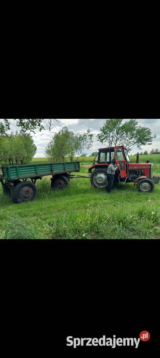 Ciągnik rolniczy Ferguson MF 255 Toruń