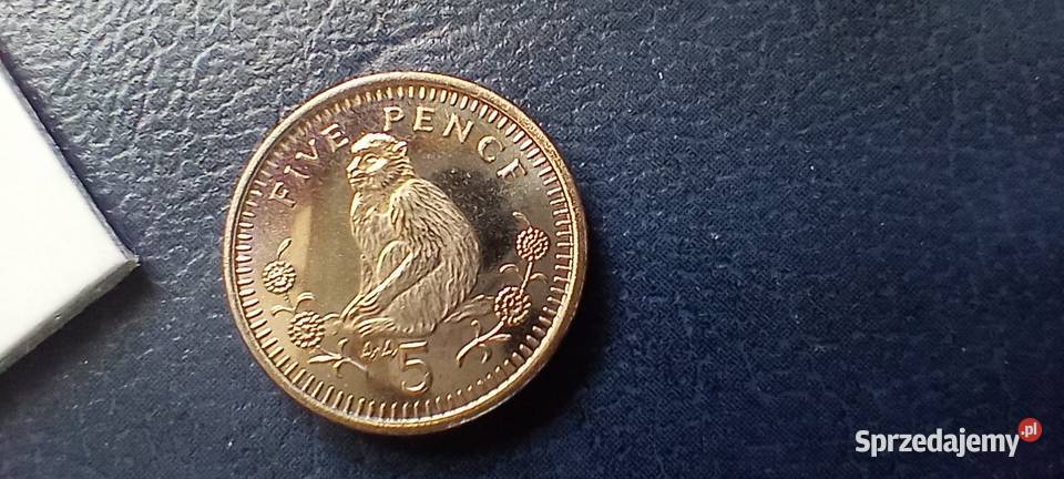 Stare monety 5 pens 1996 Gibraltar sprzedam