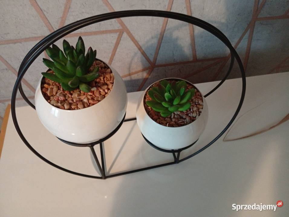 Zestaw sukulentów na metalowym stojaku Dom i Ogród Jasło sprzedam