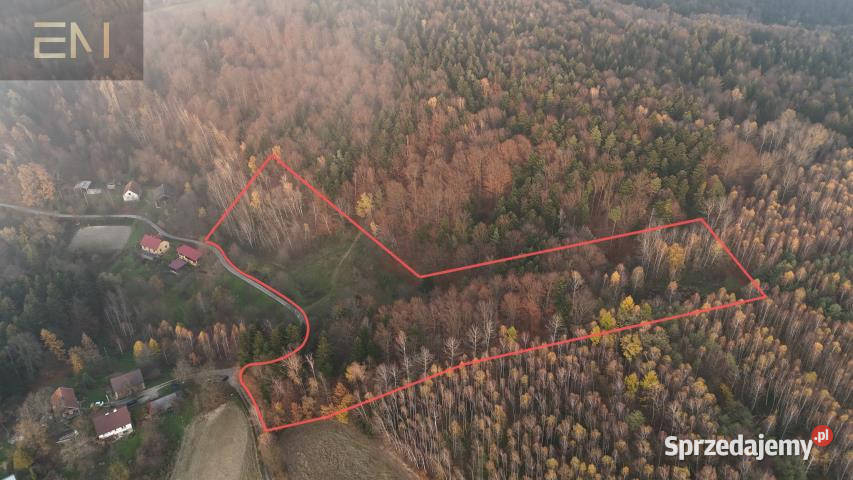Działkę sprzedam 21100 metrów Żarnowa 21100m2