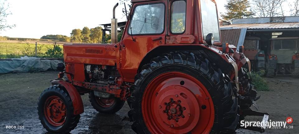 MTS MTZ 80 Białoruś Belarus 1985 Jemielno