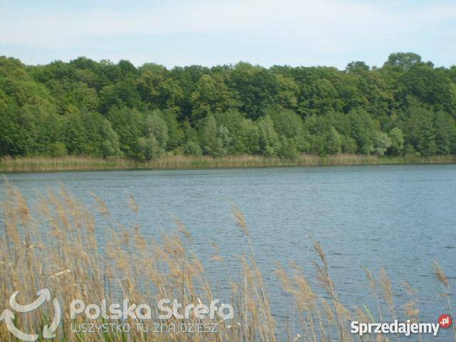 Stawy rybne 40 ha sprzedam kCzęstochowy prąd Widzówek