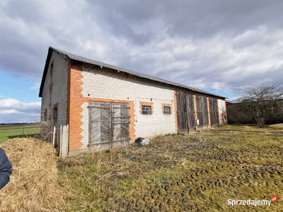 sprzedaży domu Wacławów 80m2 Liczba pokoi 2