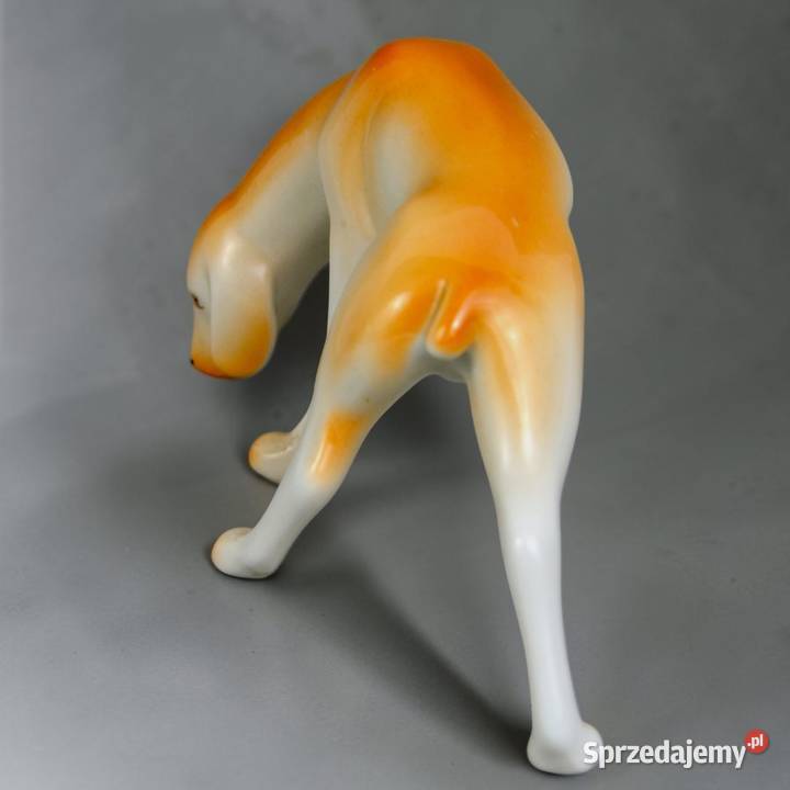 Pies wyżeł krótkowłosy Aurl Kldor porcelana Bronisze
