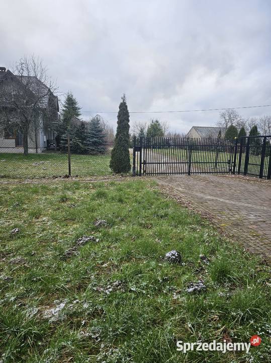 Syndyk sprzeda nieruchomość gruntową Podlasek