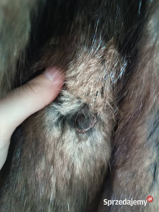 Futro naturalne Brzeziny