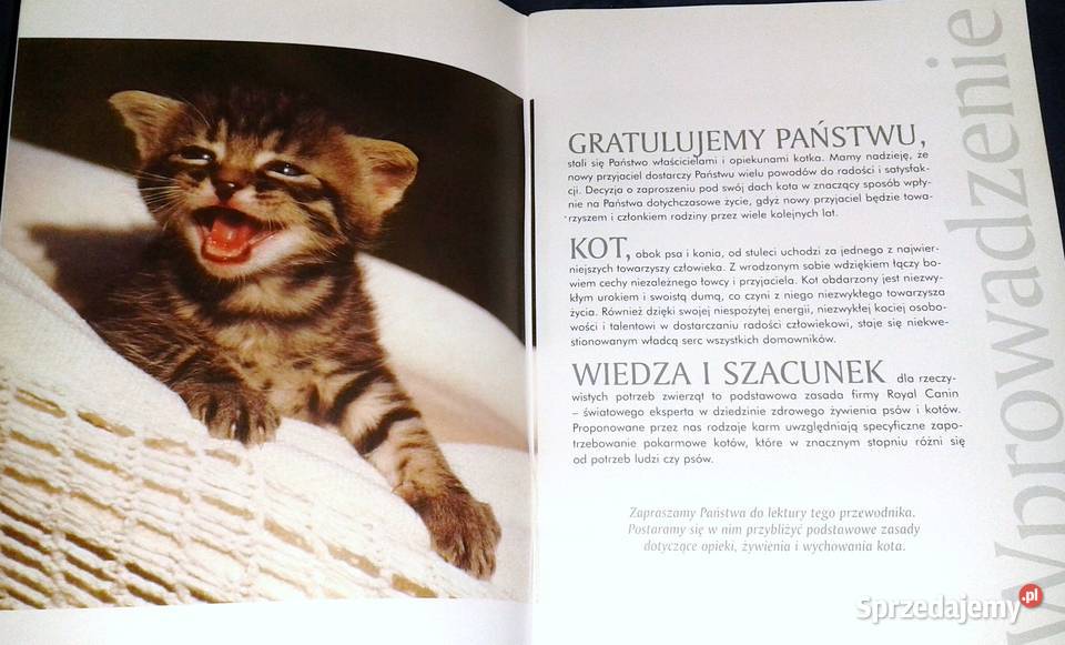 Życie z kotem Opieka i wychowanie Renner Lenfant Pozostałe lubelskie Chełm sprzedam