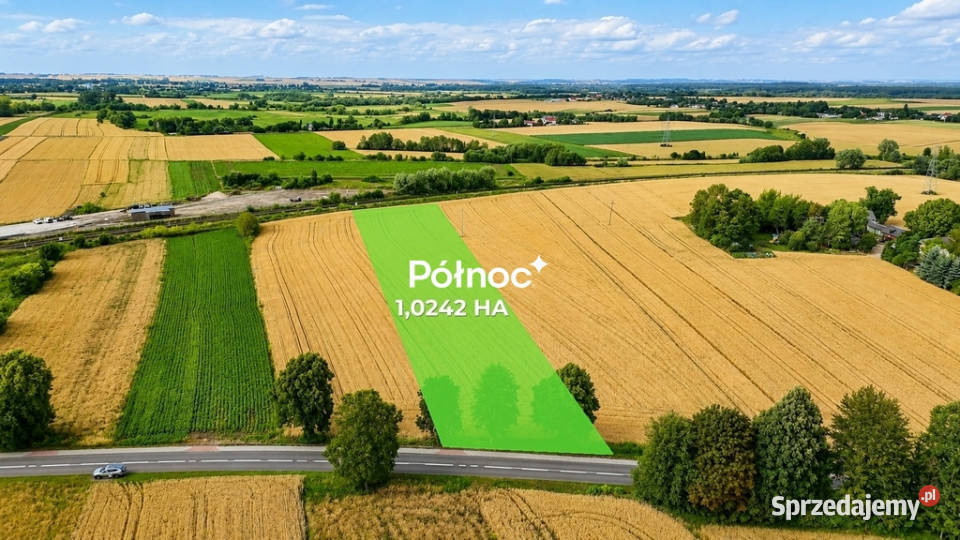 1 ha pola w granicach miasta Hrubieszów 50m