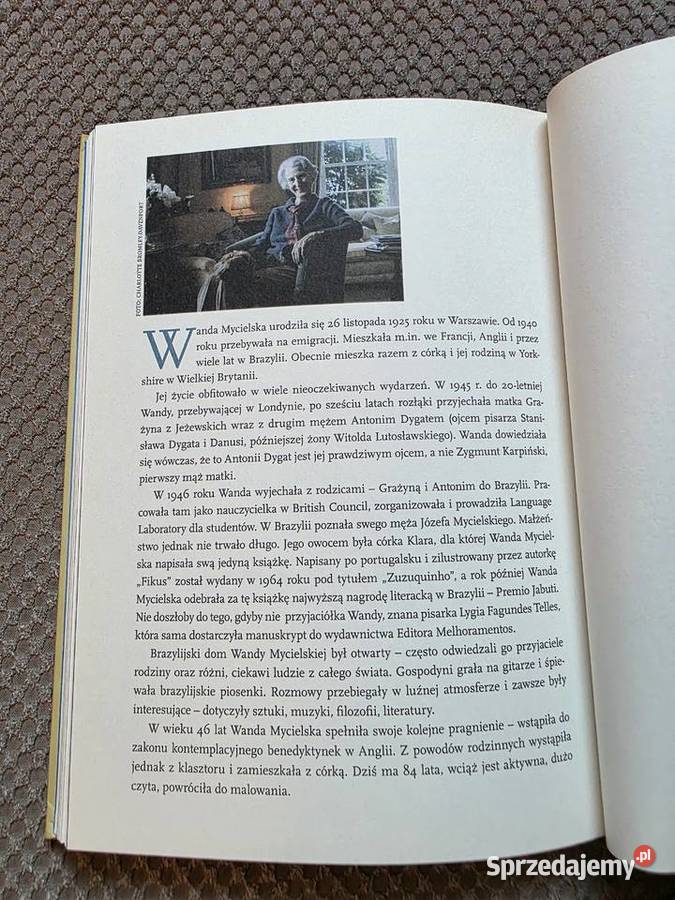 Fikus Wanda Mycielska twarda małopolskie Kraków