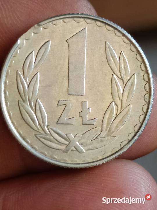 Sprzedam monete 1 zloty 1988 r odkroj blachy zzz Chełm