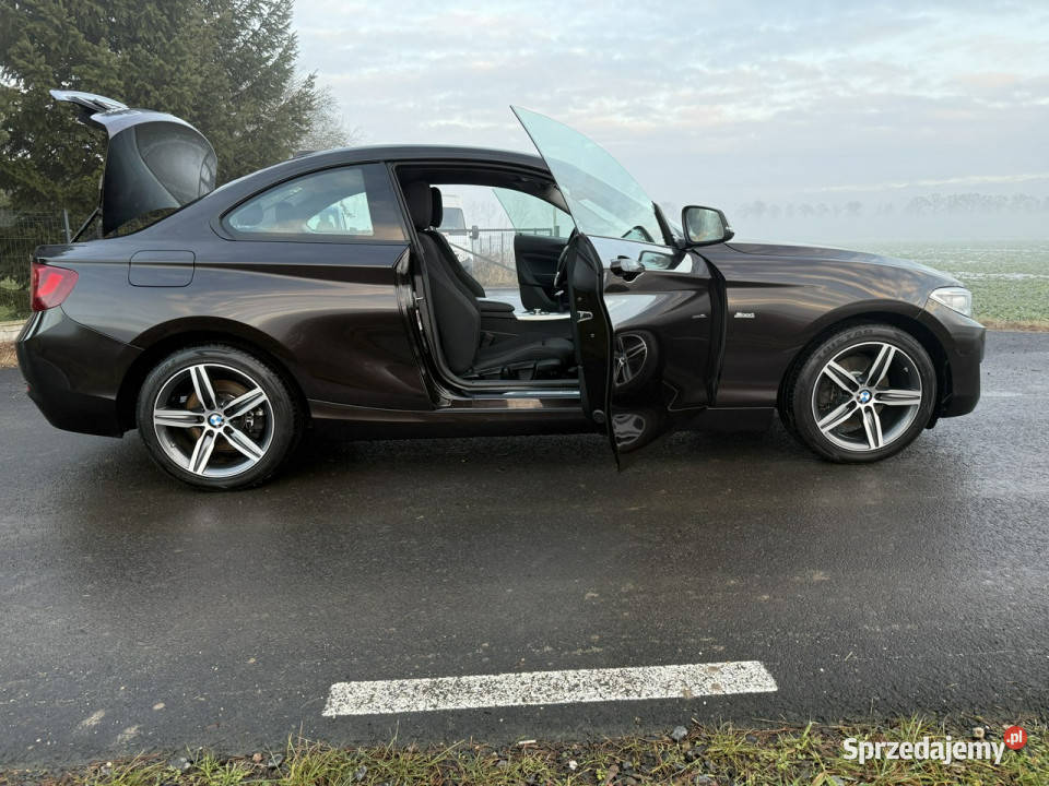 BMW 220 20i 184 68 B48 Bezwypadkowy Navi garażowany Ocice