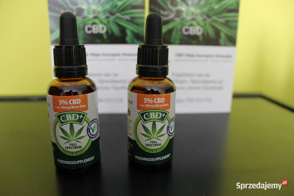 Jacob Hooy CBD Olejek 5 30ml Suplementy diety