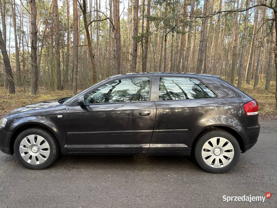 Audi A3 8P 19tdi 2005 zarejestrowane nowe Jelcz-Laskowice